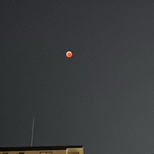 昨日の皆既月食🌒
隠れてく様子も真っ赤になるまでも全部見られて嬉しかった〜🥰
#皆既月食 #皆既月食2022
