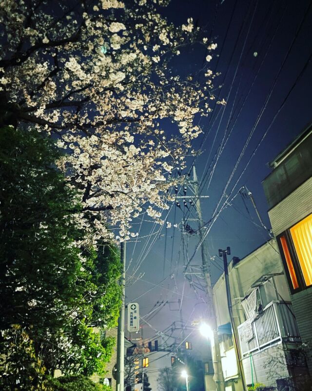4月の夜はまだ少し肌寒い