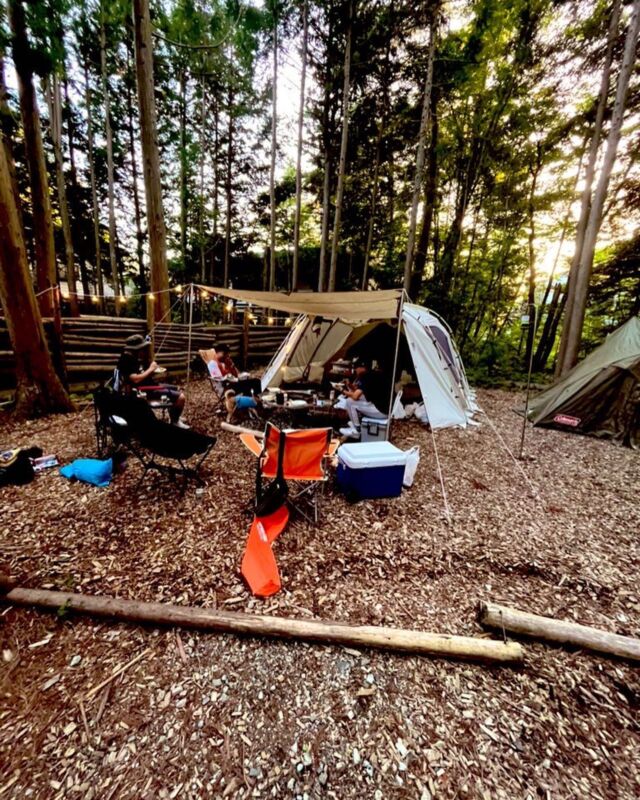 #キャンプ 
ラクサスキャンプ部始動⛺️🔥
